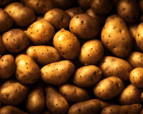 gattò o gateau di patate: storia e ricetta